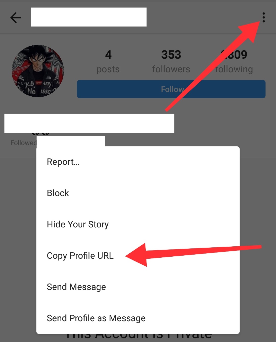 instagram private profile viewer tool